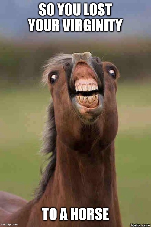 SO YOU LOST YOUR VIRGINITY TO A HORSE | made w/ Imgflip meme maker