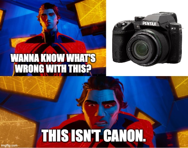 Something's wrong with this: | WANNA KNOW WHAT'S WRONG WITH THIS? THIS ISN'T CANON. | image tagged in spider-verse canonicity,spider-verse meme,spider-man,spiderverse,spiderman | made w/ Imgflip meme maker