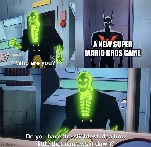 Do you have the slightest idea how little that narrows it down? | A NEW SUPER MARIO BROS GAME | image tagged in do you have the slightest idea how little that narrows it down | made w/ Imgflip meme maker