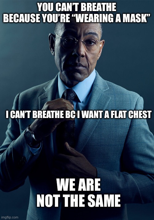 Gus Fring we are not the same | YOU CAN’T BREATHE BECAUSE YOU’RE “WEARING A MASK”; I CAN’T BREATHE BC I WANT A FLAT CHEST; WE ARE NOT THE SAME | image tagged in gus fring we are not the same,ftm | made w/ Imgflip meme maker