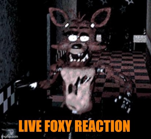 Live foxy reaction | image tagged in live foxy reaction | made w/ Imgflip meme maker