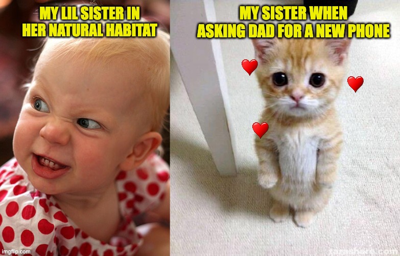 brothers have it rough | MY SISTER WHEN ASKING DAD FOR A NEW PHONE; MY LIL SISTER IN HER NATURAL HABITAT | image tagged in devil child evil candy tantrum,memes,cute cat | made w/ Imgflip meme maker