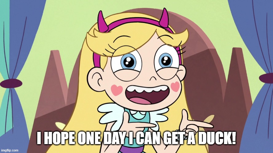 Star Butterfly Excited | I HOPE ONE DAY I CAN GET A DUCK! | image tagged in star butterfly excited | made w/ Imgflip meme maker