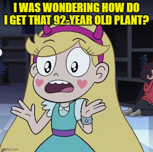 I WAS WONDERING HOW DO I GET THAT 92-YEAR OLD PLANT? | made w/ Imgflip meme maker