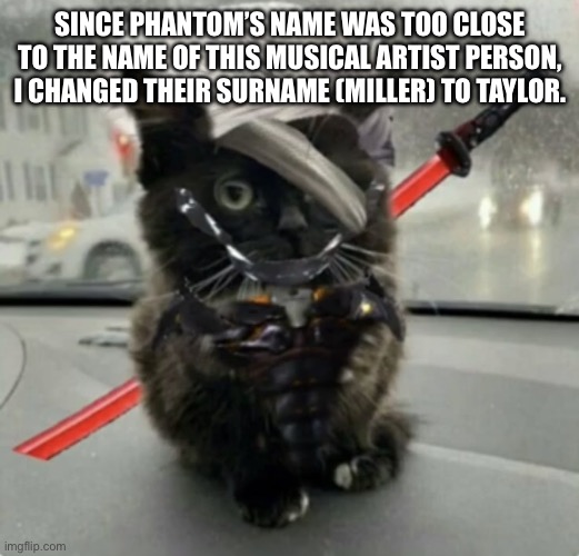 Doktor, Turn Off My Cute Inhibitors! | SINCE PHANTOM’S NAME WAS TOO CLOSE TO THE NAME OF THIS MUSICAL ARTIST PERSON, I CHANGED THEIR SURNAME (MILLER) TO TAYLOR. | image tagged in raiden cat | made w/ Imgflip meme maker