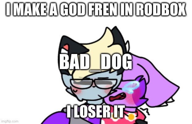 Friend | I MAKE A GOD FREN IN RODBOX; BAD_DOG; I LOSER IT | image tagged in cool,friend | made w/ Imgflip meme maker