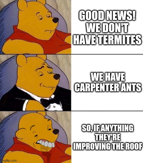 home owner problems | GOOD NEWS! WE DON'T HAVE TERMITES; WE HAVE CARPENTER ANTS; SO, IF ANYTHING THEY'RE IMPROVING THE ROOF | image tagged in best better blurst | made w/ Imgflip meme maker