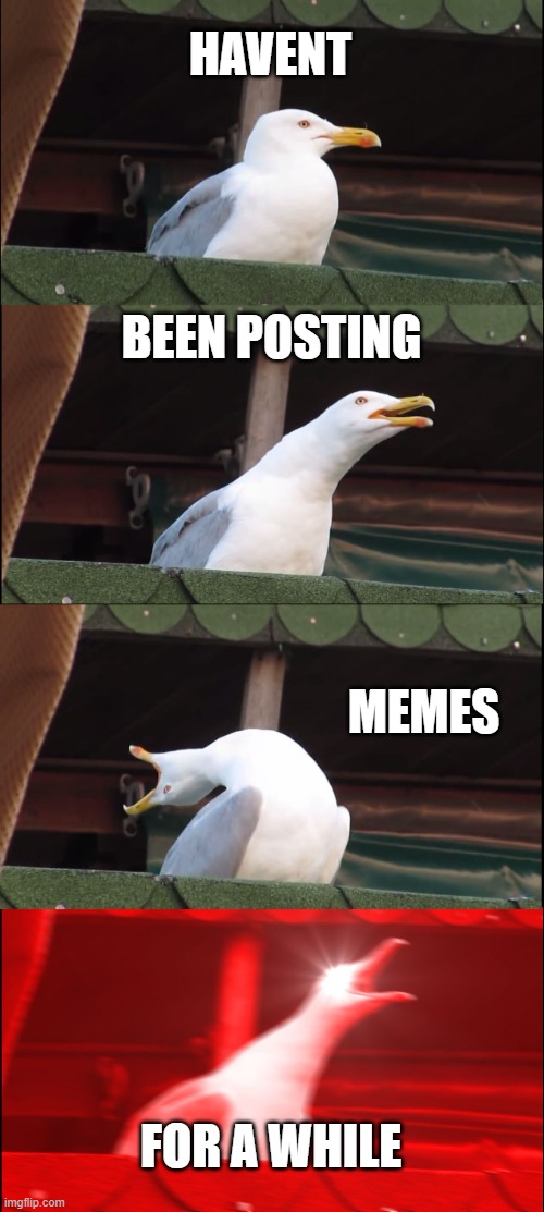 hiatus | HAVENT; BEEN POSTING; MEMES; FOR A WHILE | image tagged in memes,inhaling seagull | made w/ Imgflip meme maker