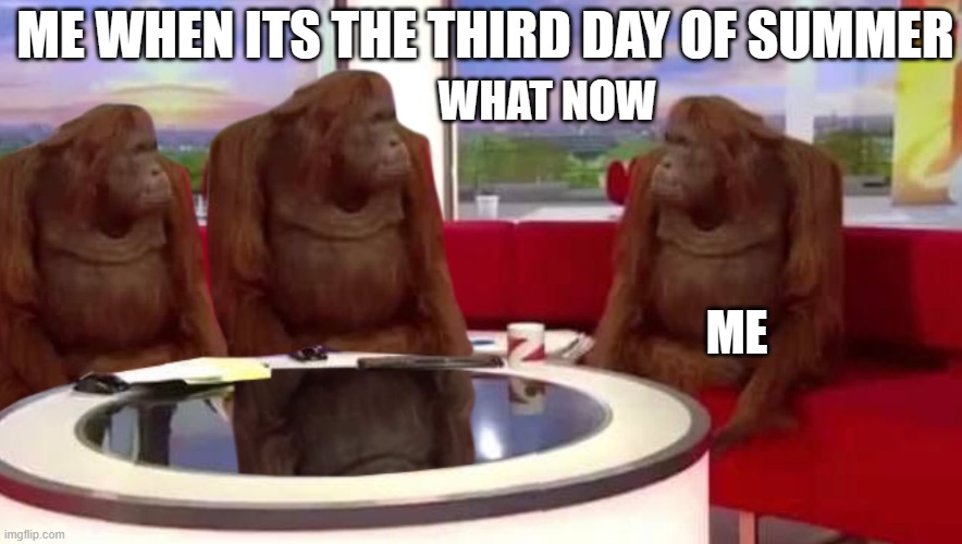 Its like an everyday weekend | ME WHEN ITS THE THIRD DAY OF SUMMER; WHAT NOW; ME | image tagged in where monkey,relatable,funny,summer vacation,funny meme | made w/ Imgflip meme maker