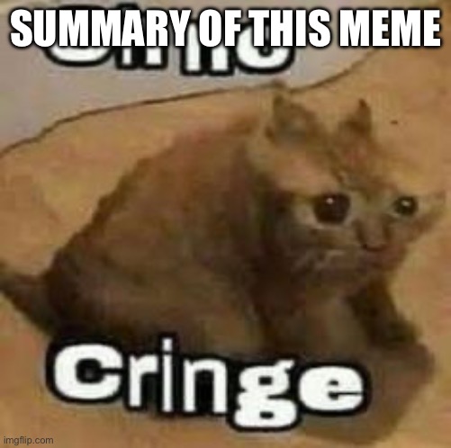 oH nO cRInGe | SUMMARY OF THIS MEME | image tagged in oh no cringe | made w/ Imgflip meme maker