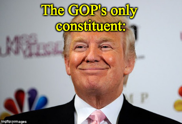 Donald trump approves | The GOP's only 
constituent: | image tagged in donald trump approves | made w/ Imgflip meme maker
