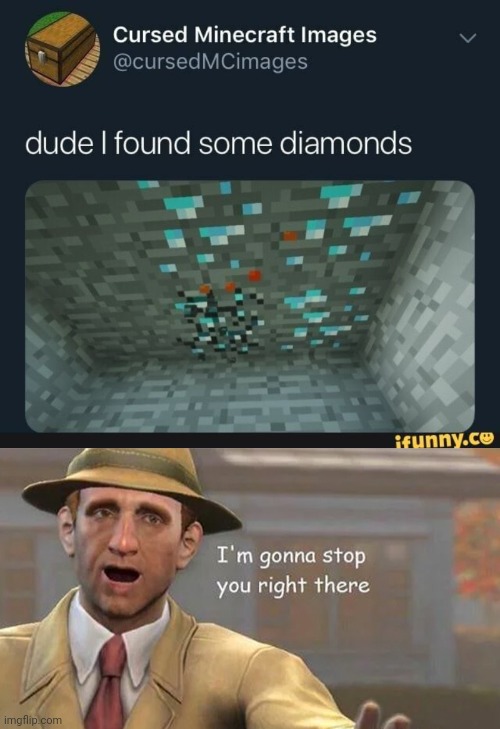 Meme #2,035 | image tagged in i'm gonna stop you right there,memes,minecraft,gaming,diamonds,hold up | made w/ Imgflip meme maker