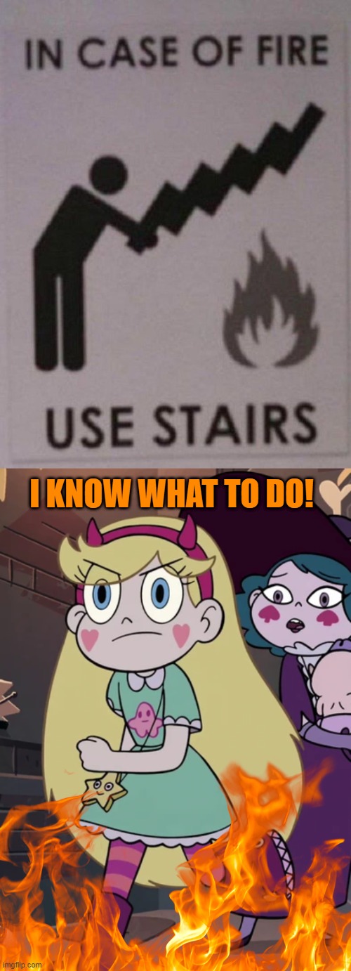 I KNOW WHAT TO DO! | image tagged in star butterfly leaving the room,you had one job,star vs the forces of evil,memes | made w/ Imgflip meme maker
