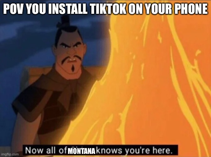 Yay I wanna move to Montana | POV YOU INSTALL TIKTOK ON YOUR PHONE; MONTANA | image tagged in now all of china knows you're here | made w/ Imgflip meme maker