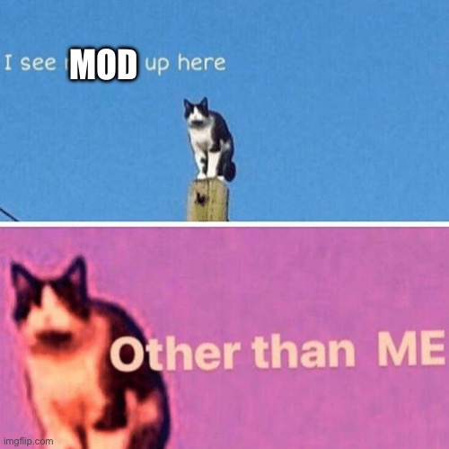 NOT mod begging, just some more random stuff out of my head | MOD | image tagged in hail pole cat | made w/ Imgflip meme maker