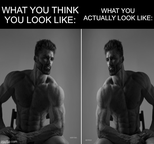 WHAT YOU THINK YOU LOOK LIKE:; WHAT YOU ACTUALLY LOOK LIKE: | made w/ Imgflip meme maker