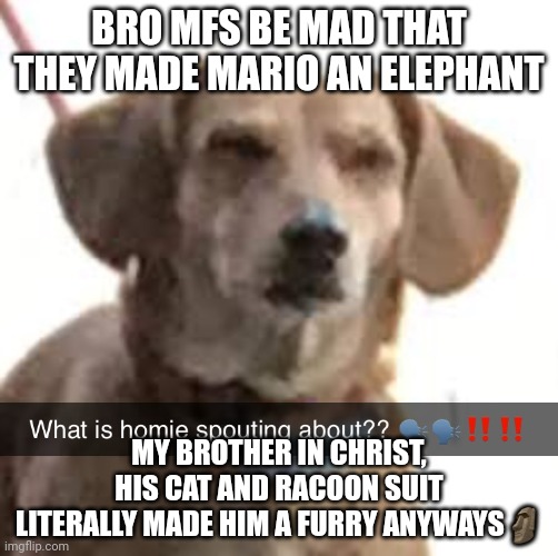 What is homie spouting about? | BRO MFS BE MAD THAT THEY MADE MARIO AN ELEPHANT; MY BROTHER IN CHRIST, HIS CAT AND RACOON SUIT LITERALLY MADE HIM A FURRY ANYWAYS🗿 | image tagged in what is homie spouting about | made w/ Imgflip meme maker