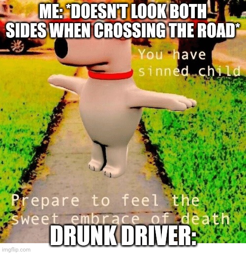 Sorry Mr. Car driver | ME: *DOESN'T LOOK BOTH SIDES WHEN CROSSING THE ROAD*; DRUNK DRIVER: | image tagged in you have sinned child prepare to feel the sweet embrace of death | made w/ Imgflip meme maker