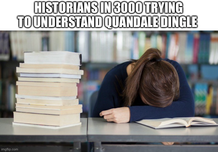 Quandale Dingle | HISTORIANS IN 3000 TRYING TO UNDERSTAND QUANDALE DINGLE | image tagged in ap bio studying,quandale dingle | made w/ Imgflip meme maker