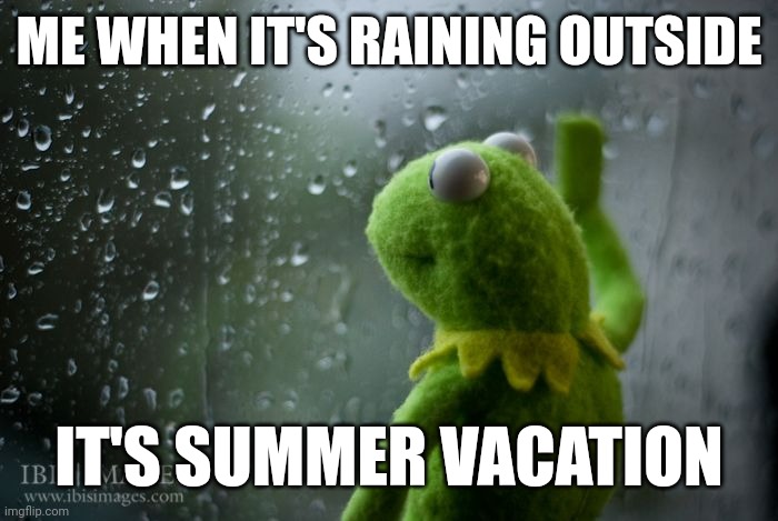 It's raining cats and dogs here. Bummer. | ME WHEN IT'S RAINING OUTSIDE; IT'S SUMMER VACATION | image tagged in funny,relatable,kermit window,memes | made w/ Imgflip meme maker