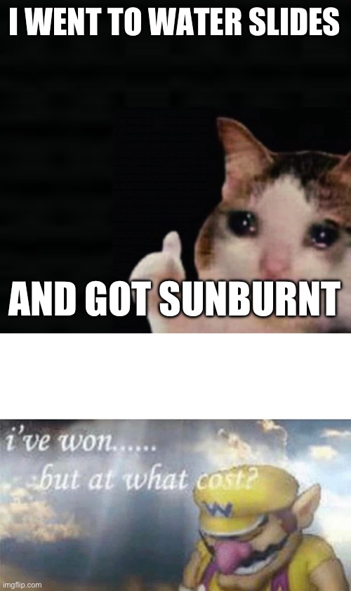 Gggg ds dgg et hud du hgdhhfvgtsgueg | I WENT TO WATER SLIDES; AND GOT SUNBURNT | image tagged in thumbs up crying cat,ive won but at what cost | made w/ Imgflip meme maker