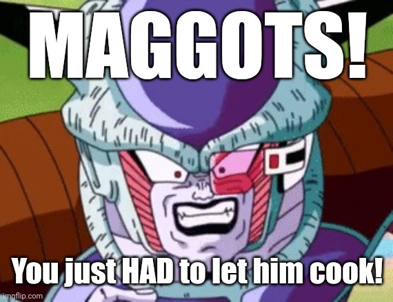 Frieza yelling maggots | MAGGOTS! You just HAD to let him cook! | image tagged in frieza yelling maggots | made w/ Imgflip meme maker