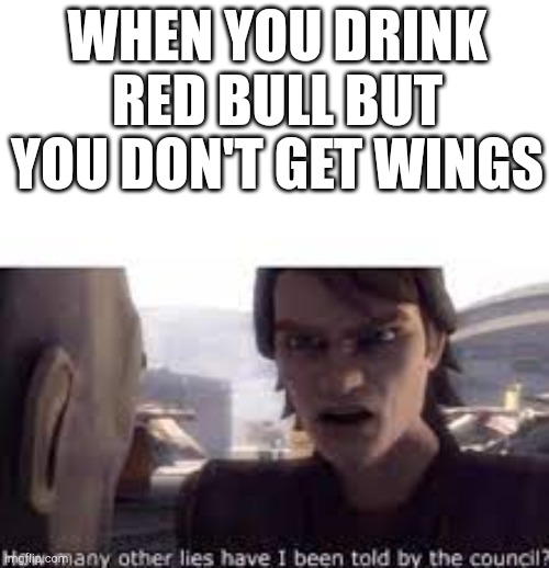 liars | WHEN YOU DRINK RED BULL BUT YOU DON'T GET WINGS | image tagged in what other lies have i been told by the council,red bull | made w/ Imgflip meme maker