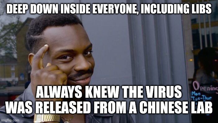 Roll Safe Think About It Meme | DEEP DOWN INSIDE EVERYONE, INCLUDING LIBS ALWAYS KNEW THE VIRUS WAS RELEASED FROM A CHINESE LAB | image tagged in memes,roll safe think about it | made w/ Imgflip meme maker