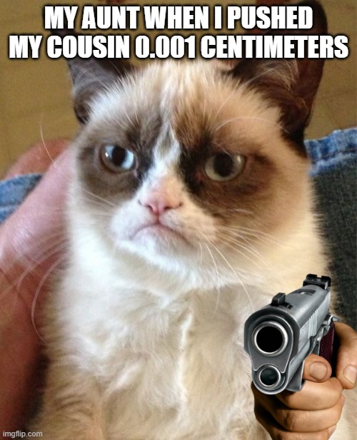cat | MY AUNT WHEN I PUSHED MY COUSIN 0.001 CENTIMETERS | image tagged in memes,grumpy cat | made w/ Imgflip meme maker