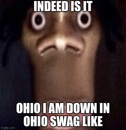 Quandale dingle | INDEED IS IT OHIO I AM DOWN IN
OHIO SWAG LIKE | image tagged in quandale dingle | made w/ Imgflip meme maker