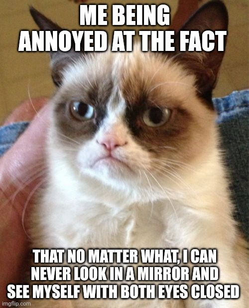 Grumpy Cat | ME BEING ANNOYED AT THE FACT; THAT NO MATTER WHAT, I CAN NEVER LOOK IN A MIRROR AND SEE MYSELF WITH BOTH EYES CLOSED | image tagged in memes,grumpy cat | made w/ Imgflip meme maker