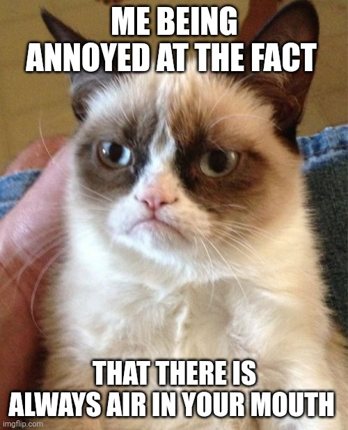 Grumpy Cat | ME BEING ANNOYED AT THE FACT; THAT THERE IS ALWAYS AIR IN YOUR MOUTH | image tagged in memes,grumpy cat | made w/ Imgflip meme maker
