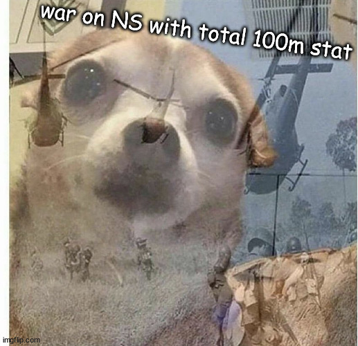 PTSD Chihuahua | war on NS with total 100m stat | image tagged in ptsd chihuahua | made w/ Imgflip meme maker