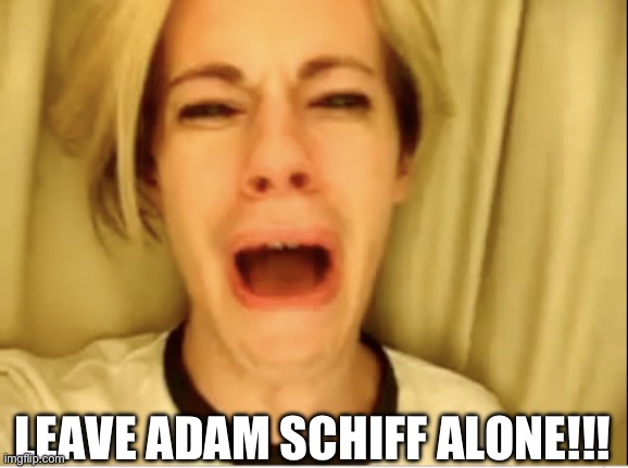 Leave Britney Alone | LEAVE ADAM SCHIFF ALONE!!! | image tagged in leave britney alone | made w/ Imgflip meme maker