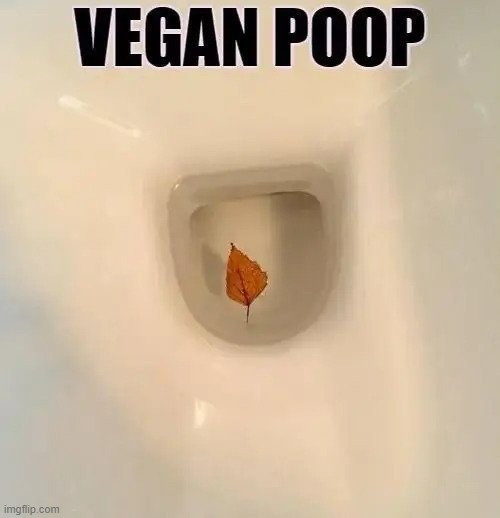 Vegan Poop | image tagged in vegan,funny,funny memes,funny meme | made w/ Imgflip meme maker