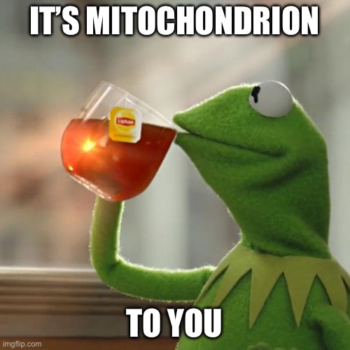 But That's None Of My Business | IT’S MITOCHONDRION; TO YOU | image tagged in memes,but that's none of my business,kermit the frog | made w/ Imgflip meme maker