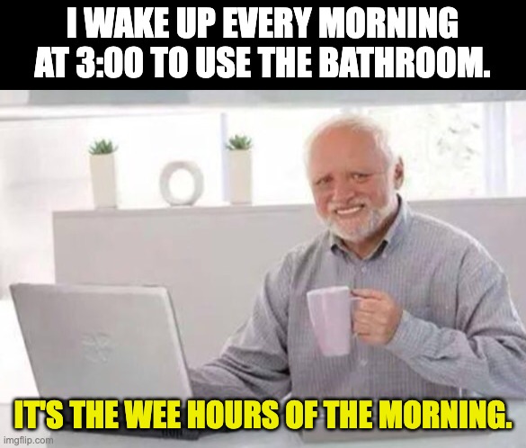 Truth from an old man | I WAKE UP EVERY MORNING AT 3:00 TO USE THE BATHROOM. IT'S THE WEE HOURS OF THE MORNING. | image tagged in harold | made w/ Imgflip meme maker