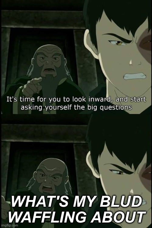 Iroh Big Questions | WHAT'S MY BLUD WAFFLING ABOUT | image tagged in iroh big questions | made w/ Imgflip meme maker