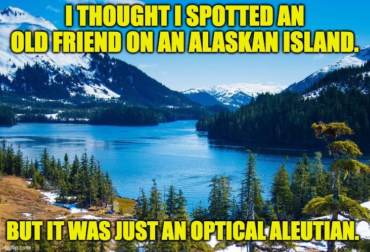 Alaska | I THOUGHT I SPOTTED AN OLD FRIEND ON AN ALASKAN ISLAND. BUT IT WAS JUST AN OPTICAL ALEUTIAN. | image tagged in alaska | made w/ Imgflip meme maker