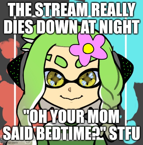 AND THE CROWD GOES MILD | THE STREAM REALLY DIES DOWN AT NIGHT; "OH YOUR MOM SAID BEDTIME?" STFU | image tagged in and the crowd goes mild | made w/ Imgflip meme maker