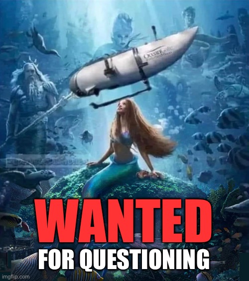 Little Mermaid Submarine | WANTED; FOR QUESTIONING | image tagged in ariel submarine | made w/ Imgflip meme maker