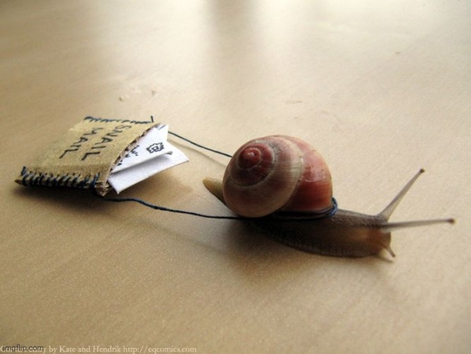 Snail Mail | image tagged in snail mail | made w/ Imgflip meme maker