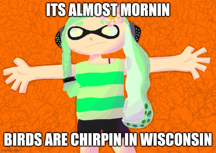 GM chat | ITS ALMOST MORNIN; BIRDS ARE CHIRPIN IN WISCONSIN | made w/ Imgflip meme maker