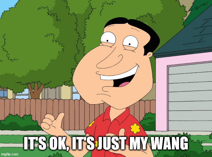 Quagmire Family Guy | IT'S OK, IT'S JUST MY WANG | image tagged in quagmire family guy | made w/ Imgflip meme maker