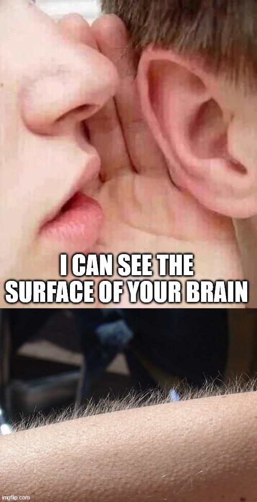 whisper in ear goosebumps | I CAN SEE THE SURFACE OF YOUR BRAIN | image tagged in whisper in ear goosebumps | made w/ Imgflip meme maker