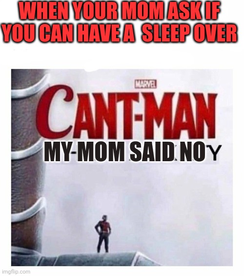 Cant man i have anxiety | WHEN YOUR MOM ASK IF YOU CAN HAVE A  SLEEP OVER; MY MOM SAID NO | image tagged in cant man i have anxiety | made w/ Imgflip meme maker