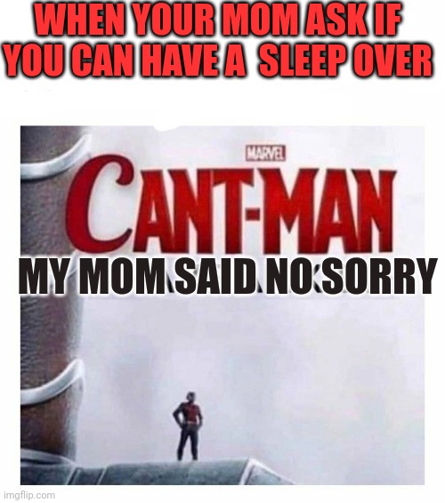 Cant man i have anxiety | WHEN YOUR MOM ASK IF YOU CAN HAVE A  SLEEP OVER; MY MOM SAID NO SORRY | image tagged in cant man i have anxiety | made w/ Imgflip meme maker