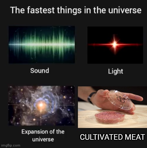 600 pounds a year | CULTIVATED MEAT | image tagged in fastest things in the universe,world hunger,is solved | made w/ Imgflip meme maker
