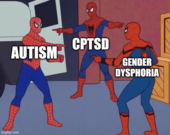 3 Spiderman Pointing | CPTSD; AUTISM; GENDER DYSPHORIA | image tagged in 3 spiderman pointing | made w/ Imgflip meme maker