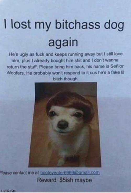 image tagged in i lost my bitches dog | made w/ Imgflip meme maker